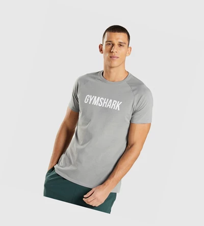 Camiseta Gymshark Apollo Hombre Grises | WHNARMD-96