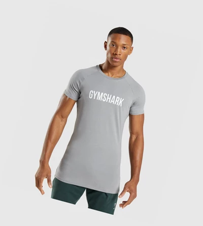 Camiseta Gymshark Apollo Hombre Grises | WOFXRGY-49