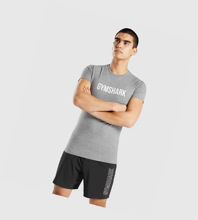 Camiseta Gymshark Apollo Hombre Grises | YRCABQE-16