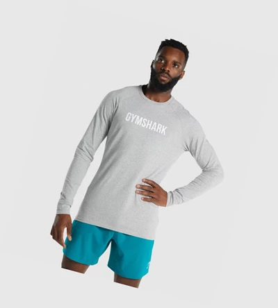 Camiseta Gymshark Apollo Hombre Grises Claro | HKFZNJY-17