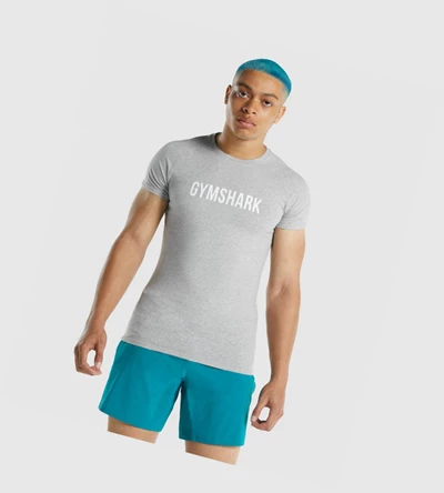 Camiseta Gymshark Apollo Hombre Grises Claro | PAHGRIV-98