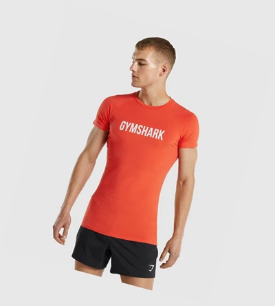 Camiseta Gymshark Apollo Hombre Naranjas | KVCRUXY-56