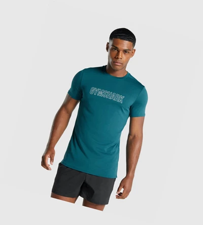 Camiseta Gymshark Arrival Estampados Hombre Turquesa | YCRWBPT-17