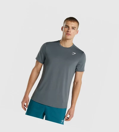 Camiseta Gymshark Arrival Regular Fit Hombre Grises | SQKMFTL-03