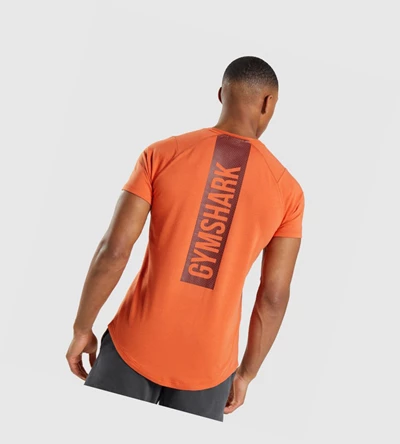 Camiseta Gymshark Bold Hombre Naranjas | ENSIVLD-56