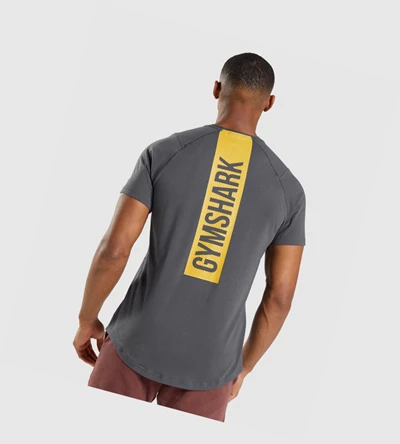 Camiseta Gymshark Bold Hombre Negros Grises | LEQRVIN-27