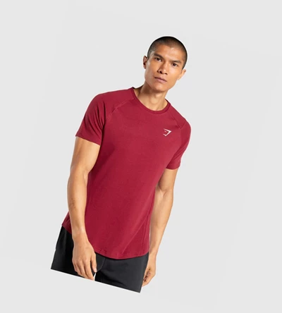 Camiseta Gymshark Bold Hombre Vino | VXLDFCQ-67