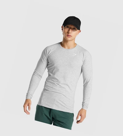 Camiseta Gymshark Critical 2.0 Hombre Grises Claro | RWYXKLO-84