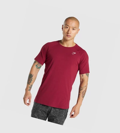 Camiseta Gymshark Critical 2.0 Hombre Vino | VFRYHAW-18