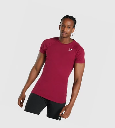 Camiseta Gymshark Critical 2.0 Hombre Vino | XTVSDBA-15