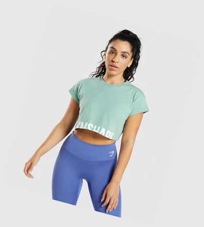 Camiseta Gymshark Fraction Crop Top Mujer Azules | HTOERVU-48