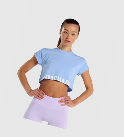 Camiseta Gymshark Fraction Crop Top Mujer Azules Claro | YDPWIFU-30