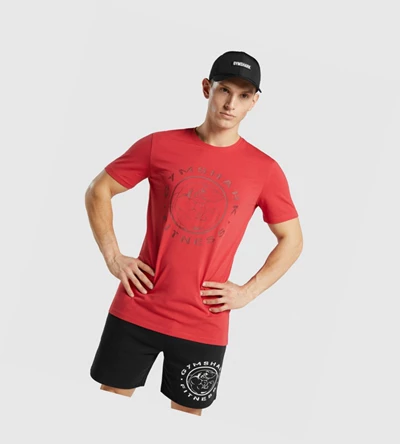 Camiseta Gymshark Legacy Hombre Rojos | VKQBTHA-63