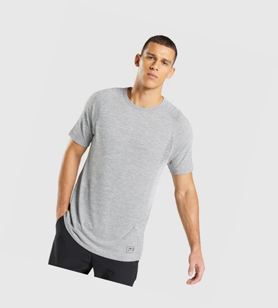 Camiseta Gymshark Retake Seamless Hombre Grises Claro Negros | IVBHXKY-31