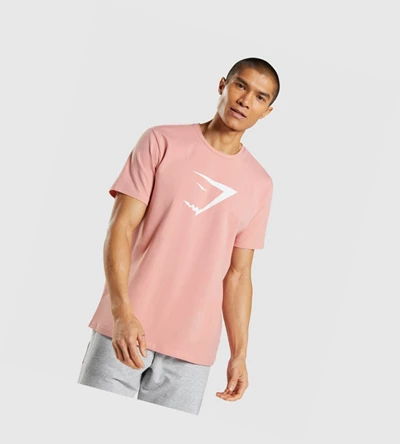 Camiseta Gymshark Sharkhead Infill Hombre Rosas | DNXFBEU-54