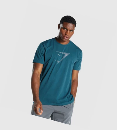 Camiseta Gymshark Sharkhead Infill Hombre Turquesa | TXKDSAC-92