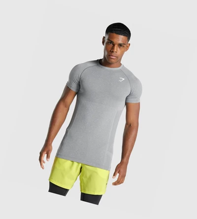 Camiseta Gymshark Vital Light seamless Hombre Grises | KWFRGEN-54