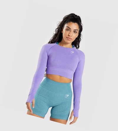 Camiseta Gymshark Vital Seamless 2.0 Crop Top Mujer Morados Claro | NRPYLWH-21