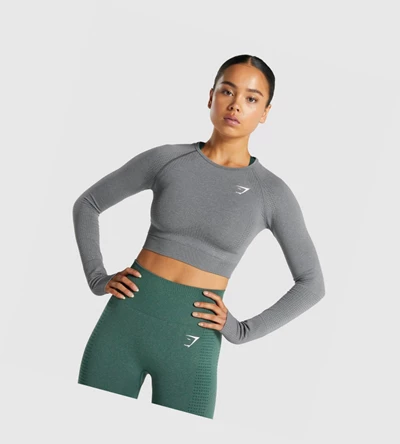 Camiseta Gymshark Vital Seamless 2.0 Crop Top Mujer Grises | TIHAWOS-34