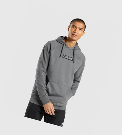 Sudadera Con Capucha Gymshark Central Hombre Grises | UNVFLXR-25