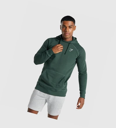 Sudadera Con Capucha Gymshark Crest Hombre Verdes Oscuro | FTWGKEL-49