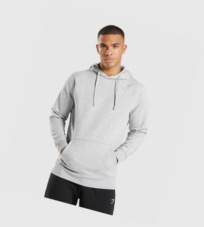 Sudadera Con Capucha Gymshark Crest Hombre Grises Claro | GBHVYXK-10