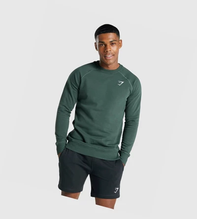 Sudadera Con Capucha Gymshark Crest Sweatshirt Hombre Verdes Oscuro | ROLCFXY-19