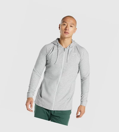 Sudadera Con Capucha Gymshark Critical 2.0 Zip Up Hombre Grises Claro | XTISPLA-15