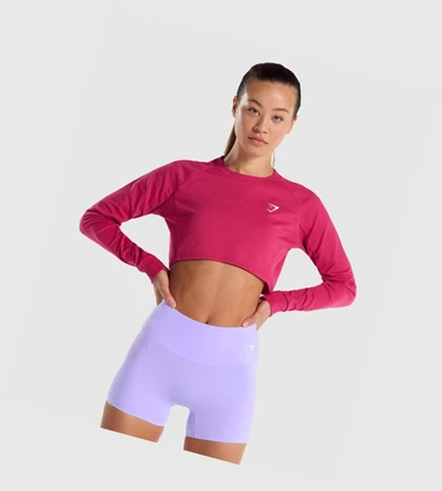 Sudadera Con Capucha Gymshark Entrenamiento Cropped Sueter Mujer Rosas | KUBLXWY-06