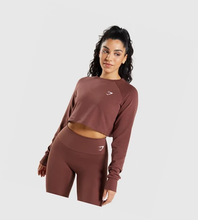 Sudadera Con Capucha Gymshark Entrenamiento Cropped Sueter Mujer Rosas Marrom | OQMSIPD-03