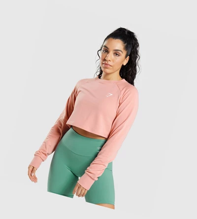 Sudadera Con Capucha Gymshark Entrenamiento Cropped Sueter Mujer Rosas | WYTJUOL-58