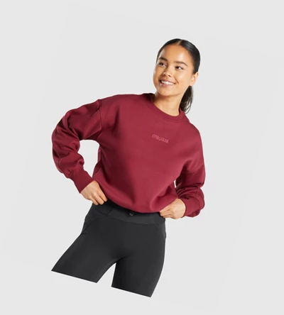 Sudadera Con Capucha Gymshark Pulse Mujer Vino | OFGQEJD-75