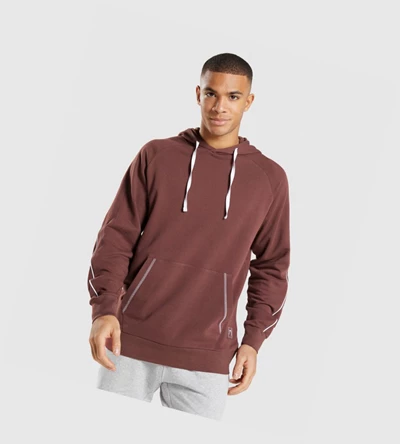 Sudadera Con Capucha Gymshark Recess Hombre Rosas Marrom Blancos | YRFNLUH-87