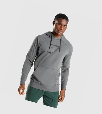 Sudadera Con Capucha Gymshark Sharkhead Infill Hombre Grises | JFRAUHT-76