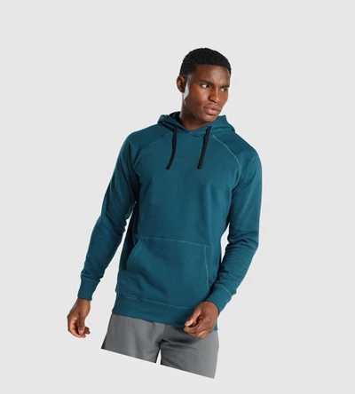 Sudadera Con Capucha Gymshark Sharkhead Infill Hombre Turquesa | MKNYFCZ-90