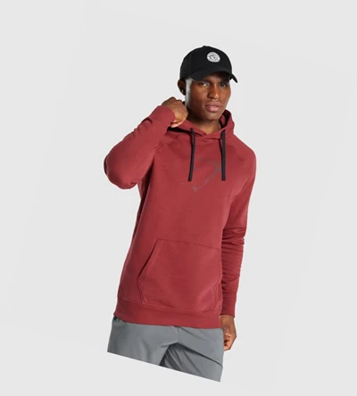 Sudadera Con Capucha Gymshark Sharkhead Infill Hombre Vino | ZHVPFBQ-10