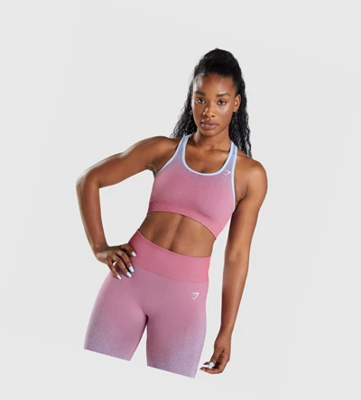 Sujetadores Deportivos Gymshark Adapt Ombre Seamless Mujer Rosas Rosas Azules Claro | QGSCZOE-69