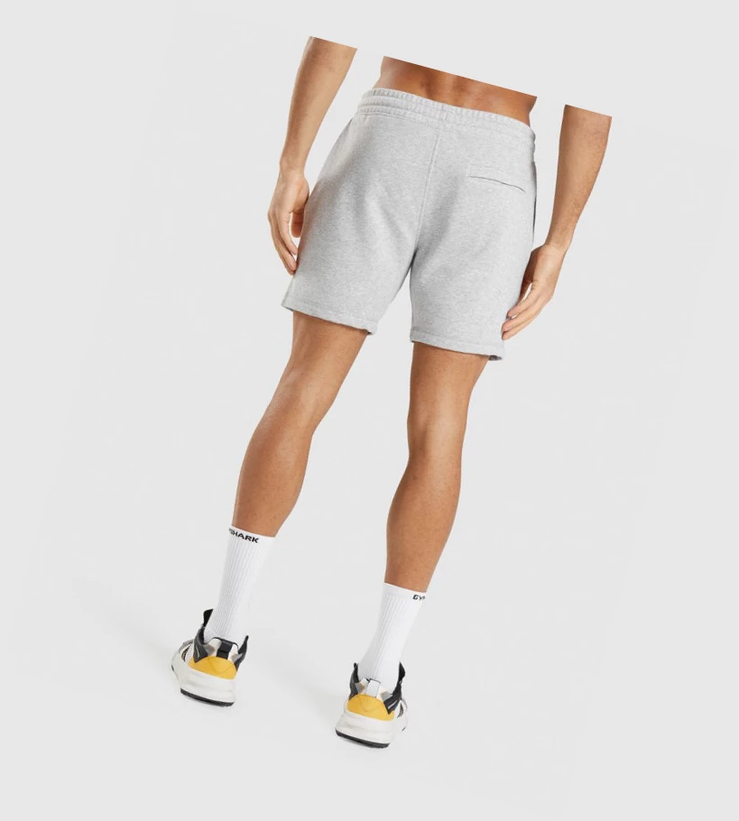 Bermudas Gymshark Crest Hombre Grises Claro | JEHXBQV-49