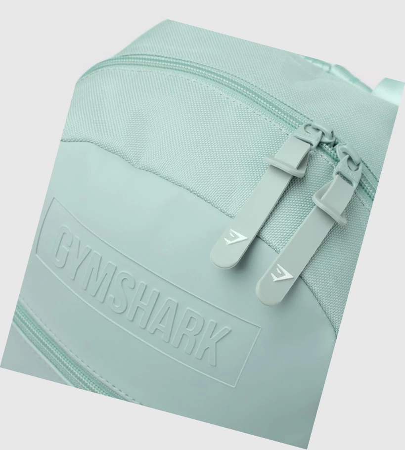 Bolsos & Mochilas Gymshark Everyday Mini Mujer Azules Claro | FSJDURV-29