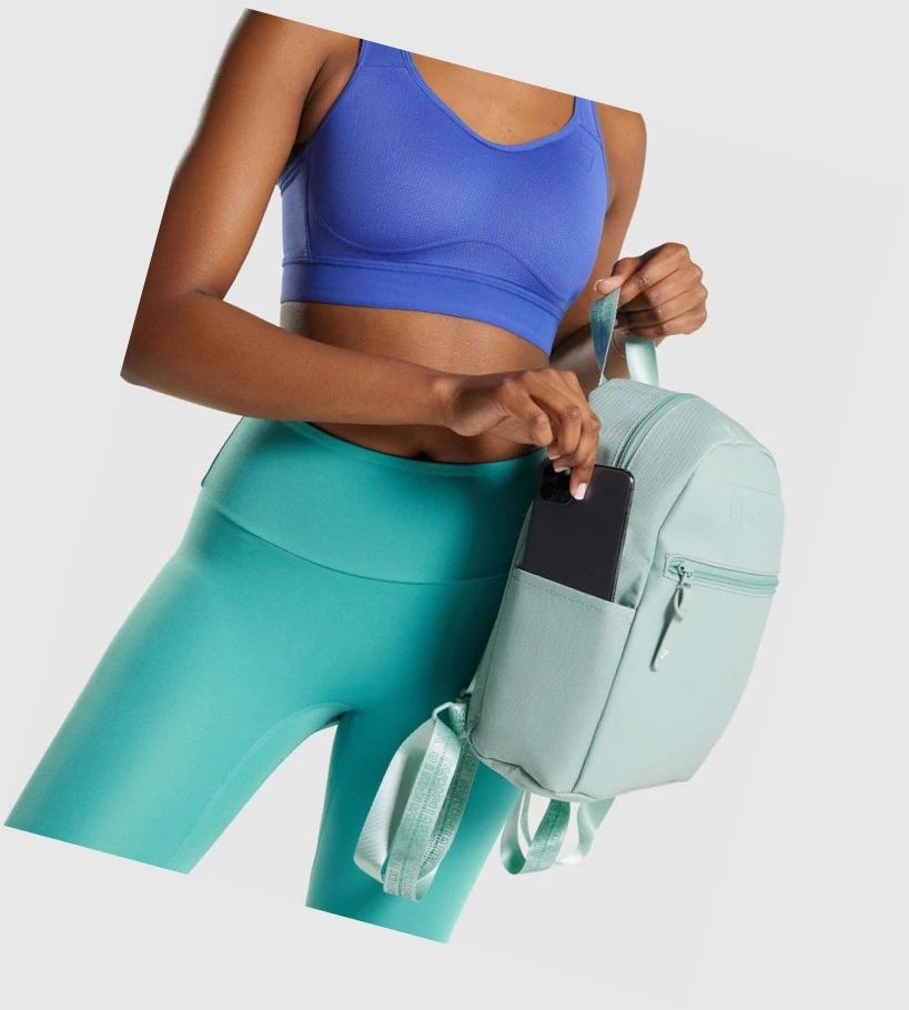 Bolsos & Mochilas Gymshark Everyday Mini Mujer Azules Claro | FSJDURV-29