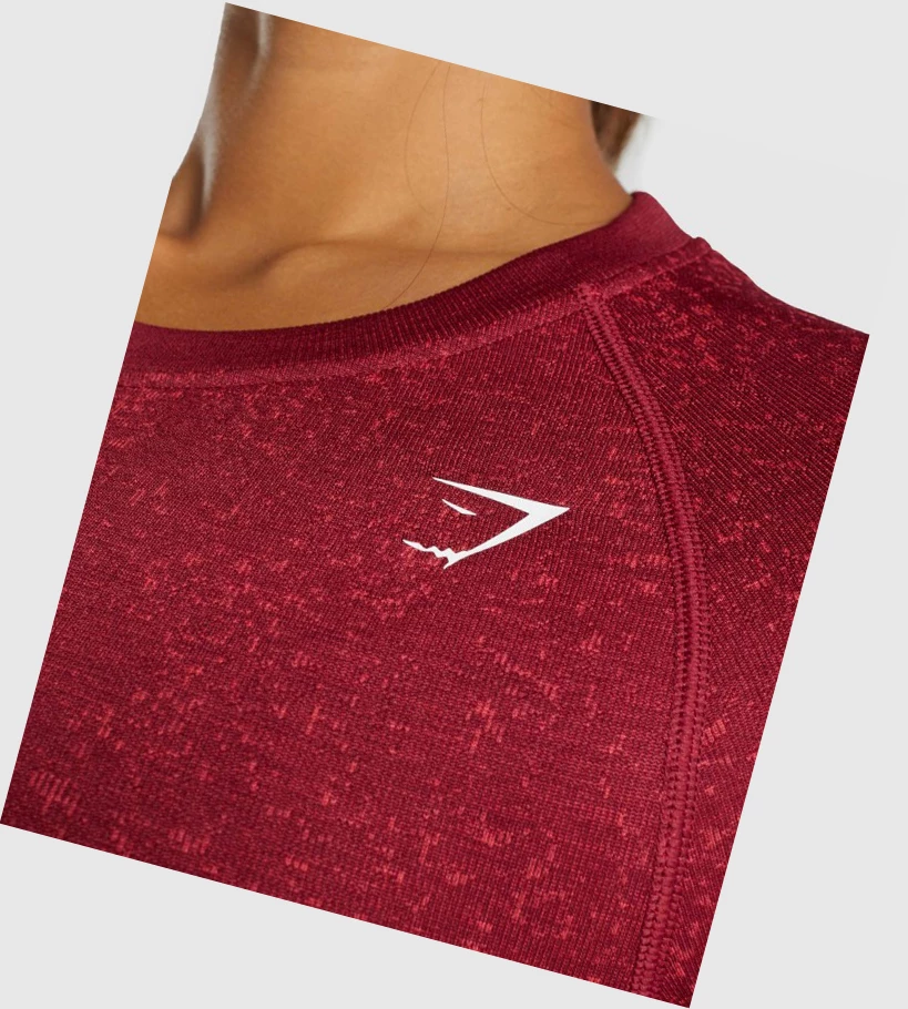 Camiseta Gymshark Adapt Fleck Seamless Crop Top Mujer Vino | CGKYARD-79