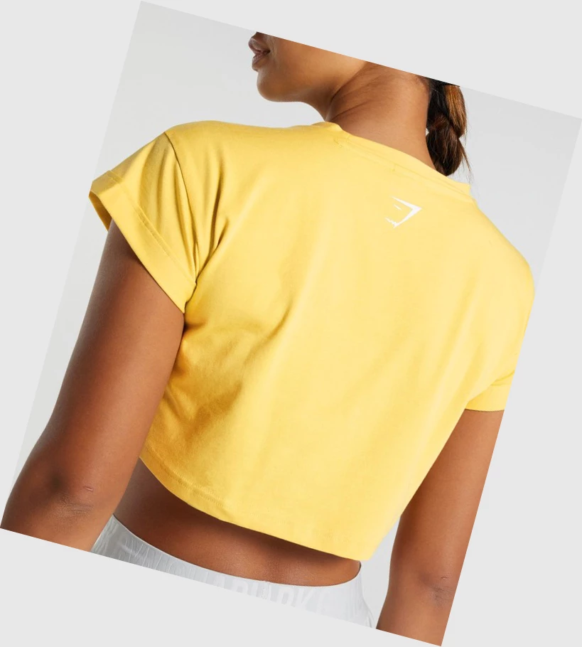 Camiseta Gymshark Animal Estampados Infill Crop Mujer Amarillos | AWRVZQJ-35