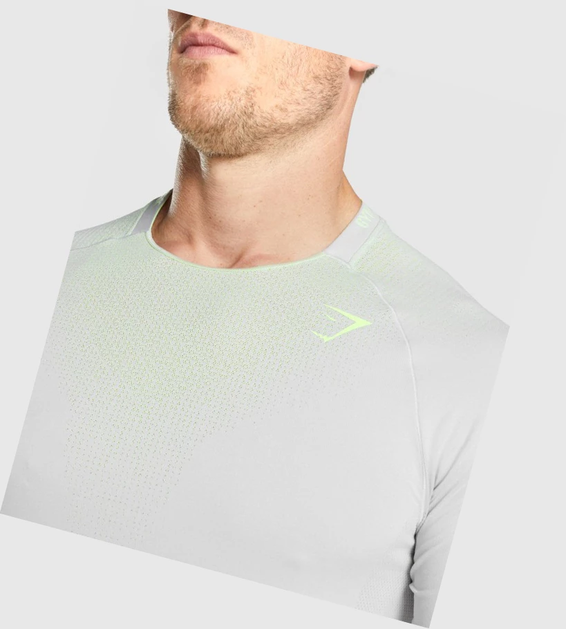 Camiseta Gymshark Apex Contrast Seamless Hombre Grises Claro | SQXBKVZ-86