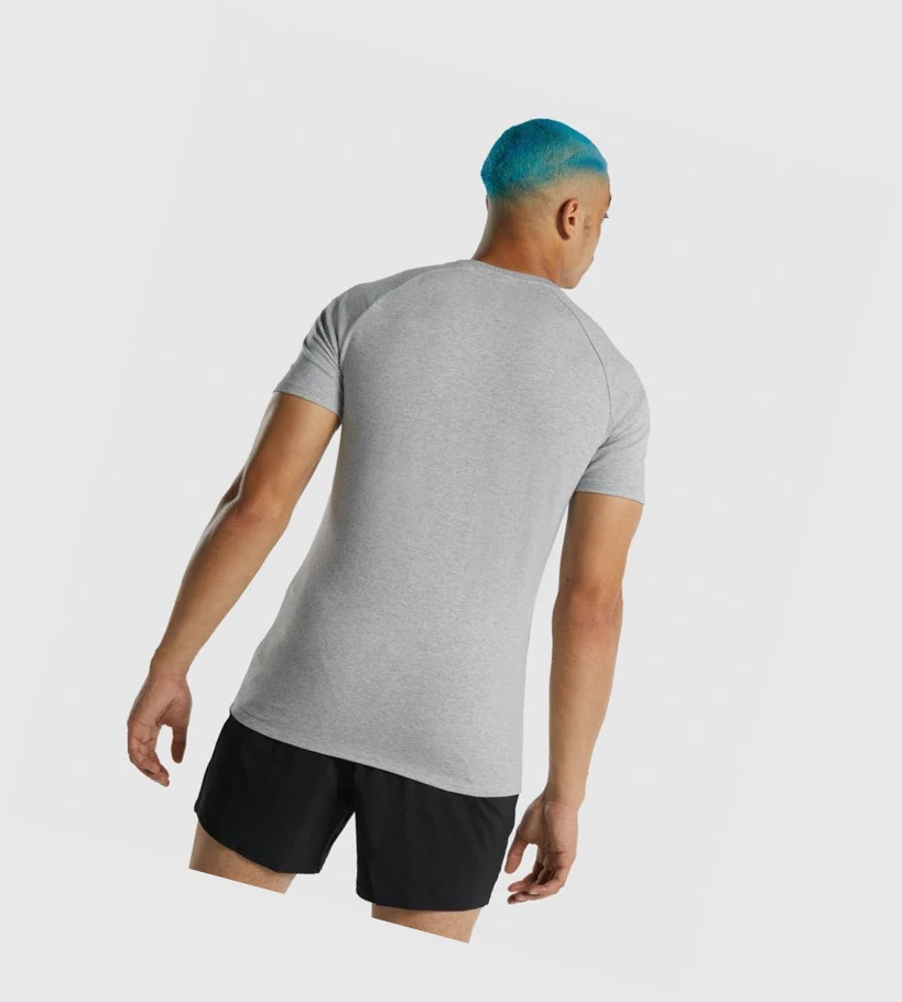 Camiseta Gymshark Apollo Hombre Grises Claro | EVSHQMF-58