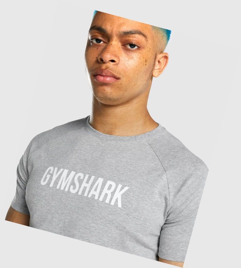 Camiseta Gymshark Apollo Hombre Grises Claro | EVSHQMF-58