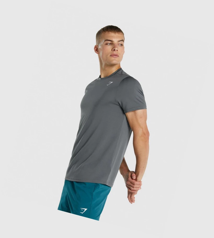 Camiseta Gymshark Arrival Regular Fit Hombre Grises | SQKMFTL-03