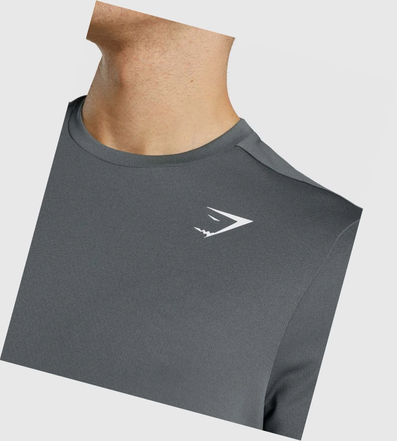 Camiseta Gymshark Arrival Regular Fit Hombre Grises | SQKMFTL-03