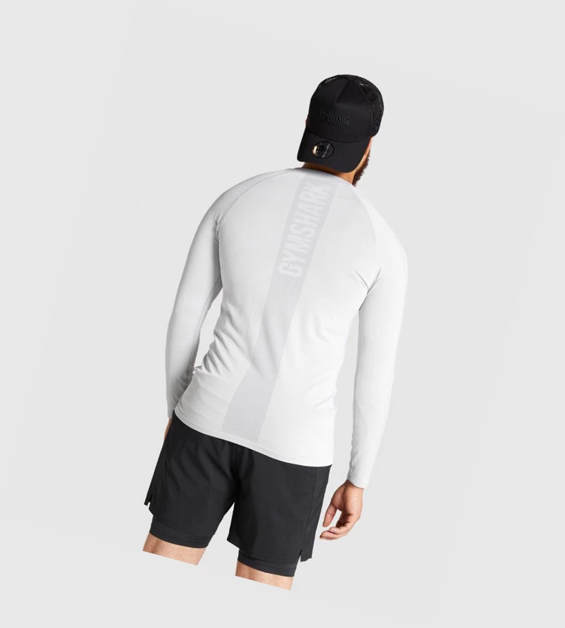 Camiseta Gymshark Aspect Ligeros Seamless Hombre Grises Claro | ASWGUFZ-80