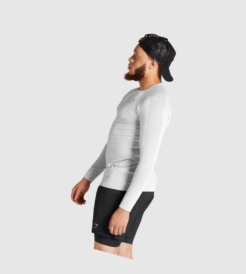 Camiseta Gymshark Aspect Ligeros Seamless Hombre Grises Claro | ASWGUFZ-80