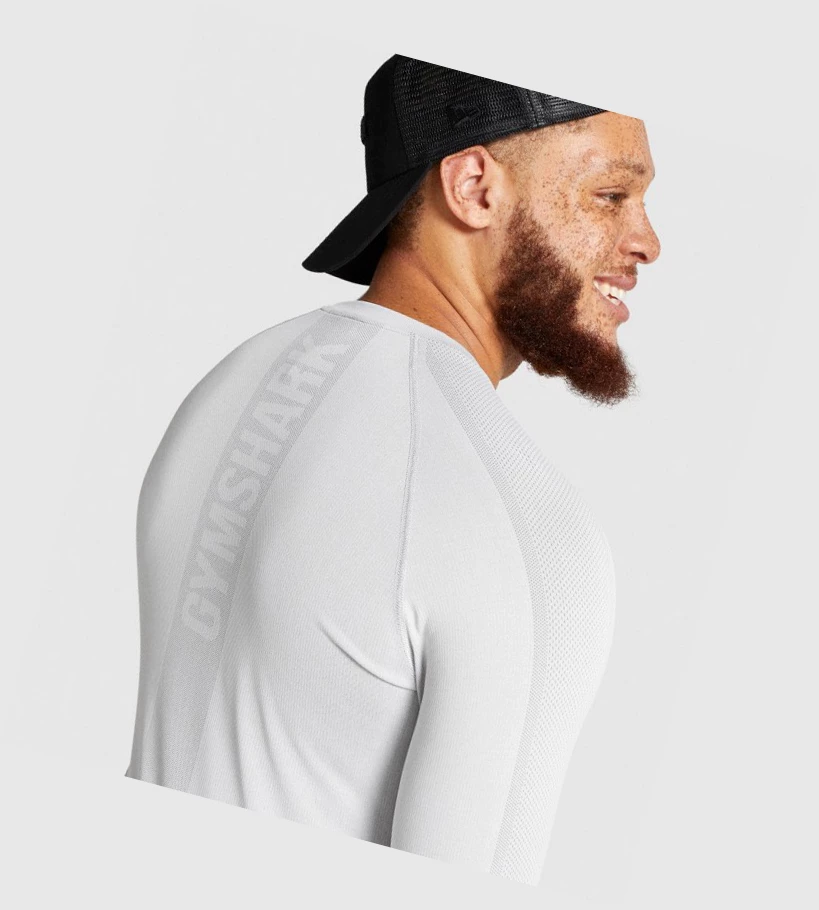 Camiseta Gymshark Aspect Ligeros Seamless Hombre Grises Claro | ASWGUFZ-80